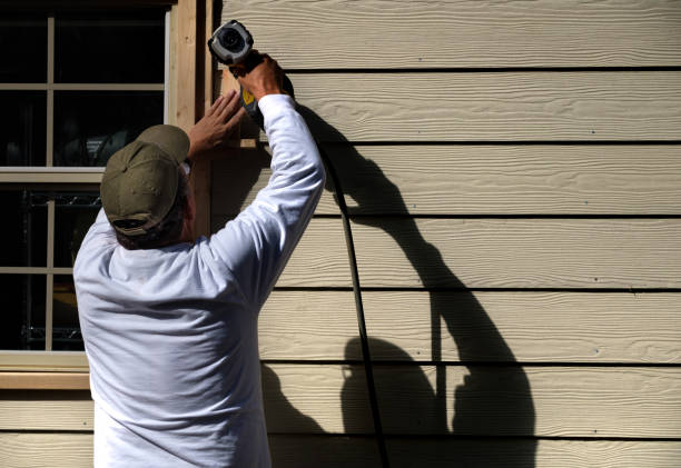 Best Custom Trim and Detailing for Siding  in La Vista, NE