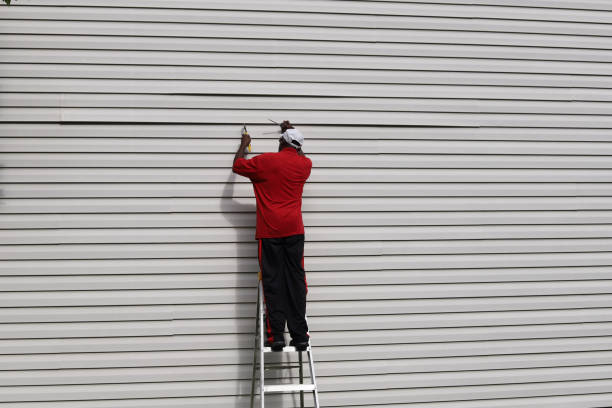  La Vista, NE Siding Pros